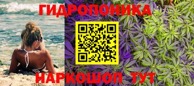 ГАЛЛЮЦИНОГЕННЫЕ ГРИБЫ Краснознаменск