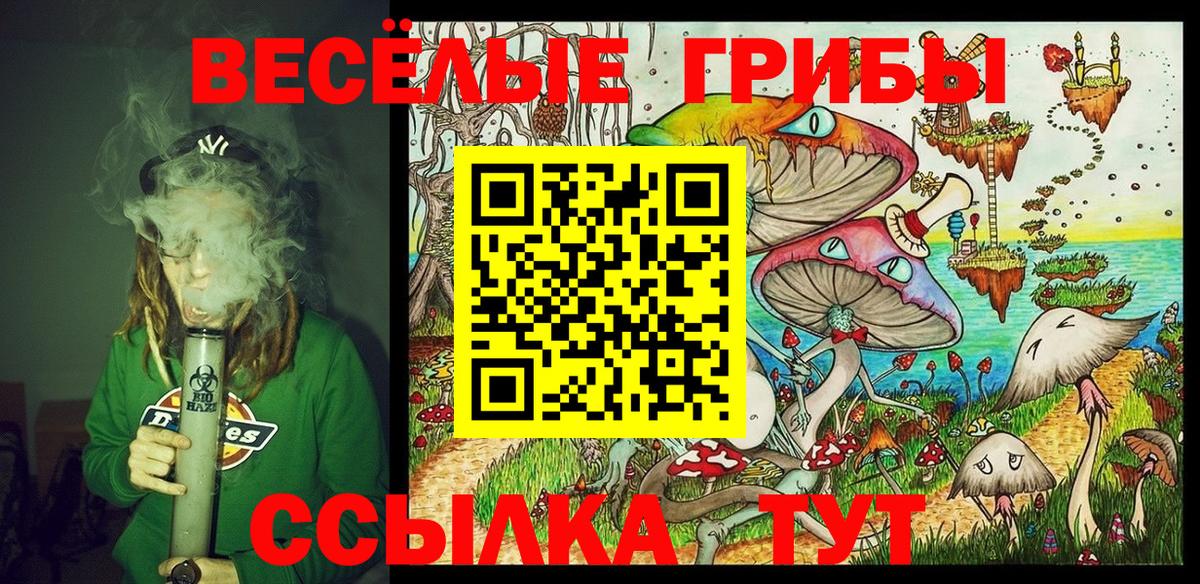 Ковров  Галлюциногенные грибы Psilocybe  Вход с VPN 